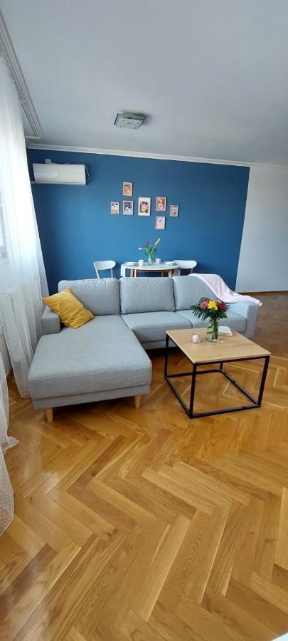 Plavi Zec Apartment Subotica Exterior photo